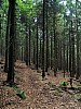 Kunejov_E1_03