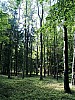 Kunejov_E1_04