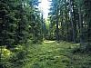 Kunejov_E1_05