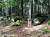 Kunejov_E1_07