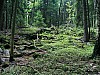 Kunejov_E1_09