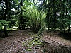 Kunejov_E1_10