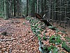 Kunejov_E2_01