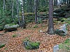 Kunejov_E2_03