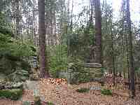 Photo Number 3