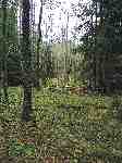 Photo Number 6