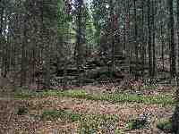 Photo Number 5