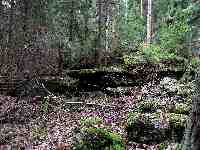 Photo Number 9
